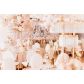 Maria Antonina - Pan Decor